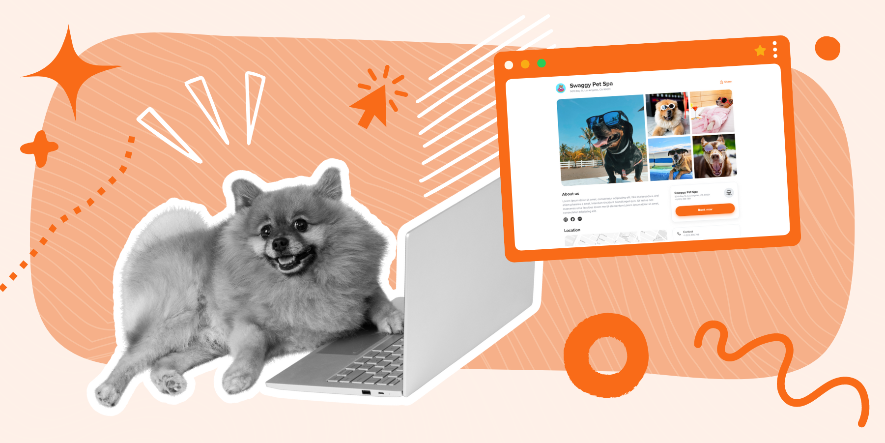 View of The Ultimate Guide to Pet Grooming Business Websites - MoeGo